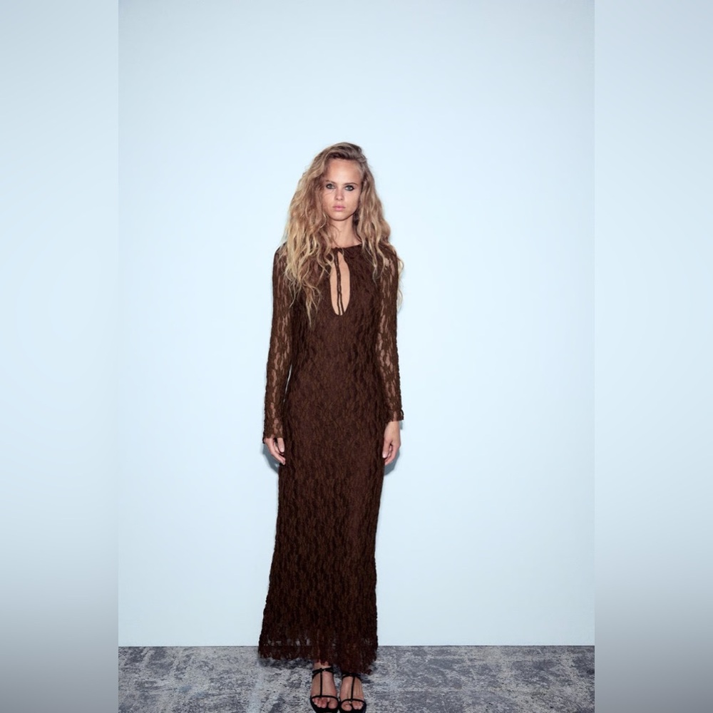 Zara Long Lace Maxi Dress in Brown